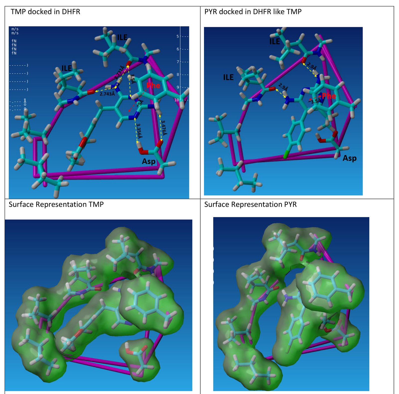 Surface views showing why pyrimethamine cannot bind like trimethoprim