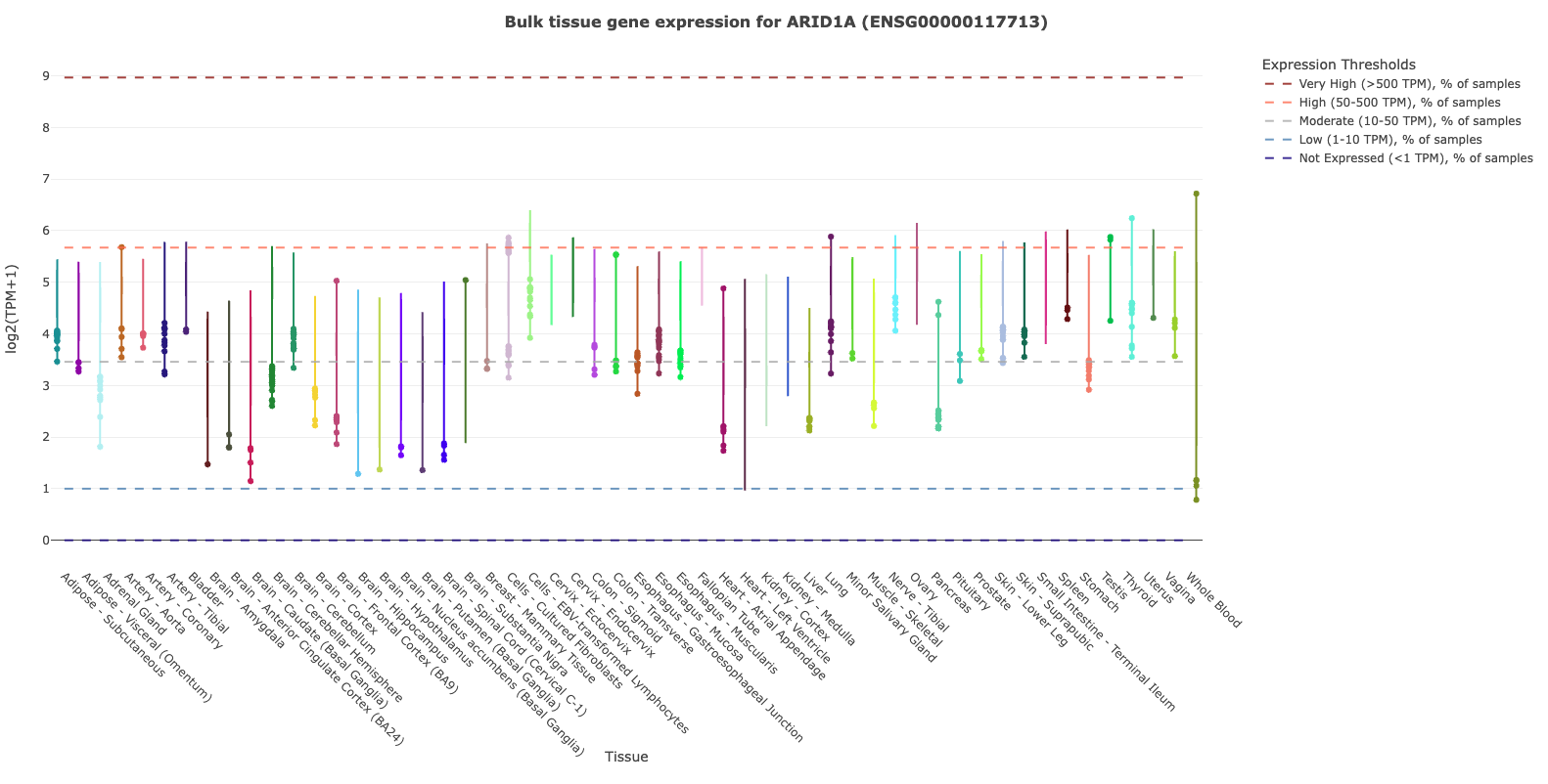 Bulk tissue expression for ARID1A across all 54 GTEx tissues