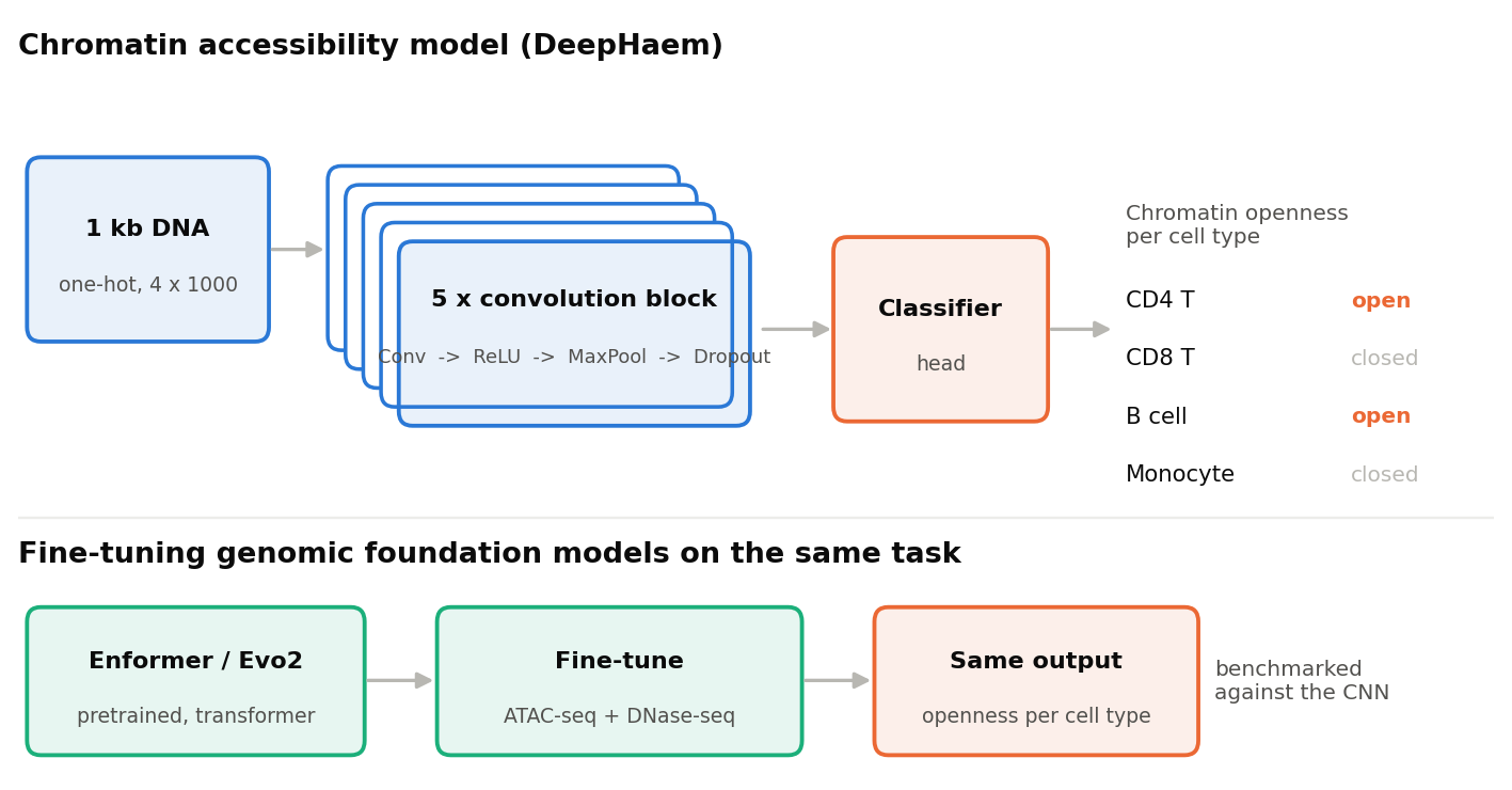 The same architecture with the foundation-model fine-tuning path